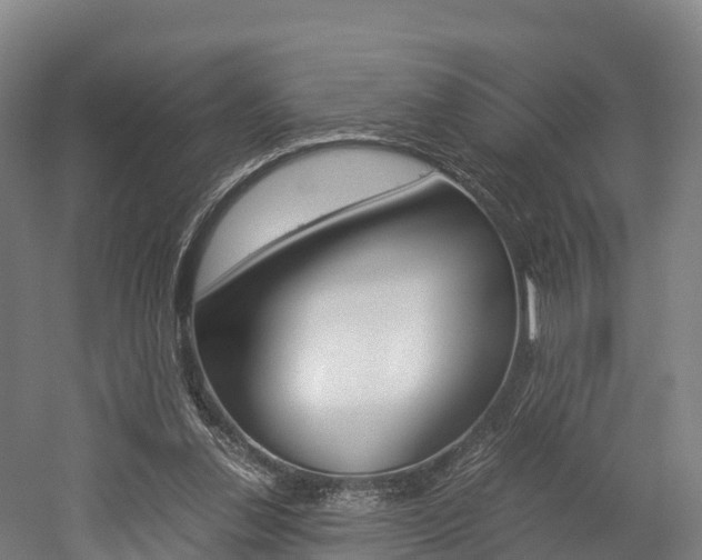 X0000052550252200507010852