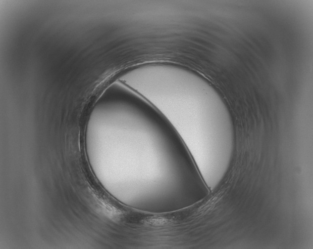X0000052550253200507010852