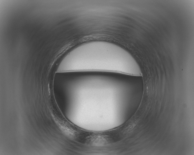 X0000052550254200507010852