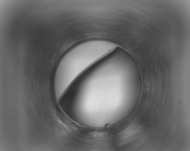 X0000052550255200507010852