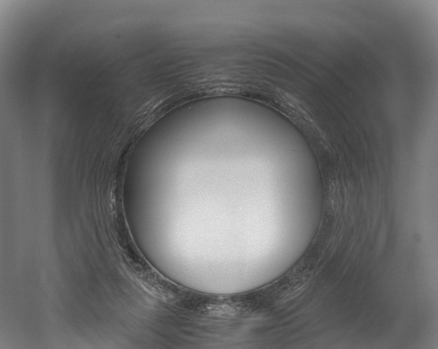 X0000052550259200507010852