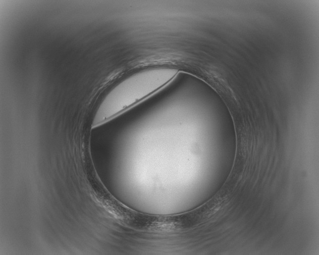 X0000052550260200507010852