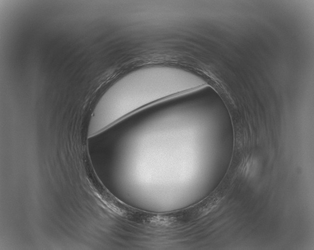 X0000052550261200507010853