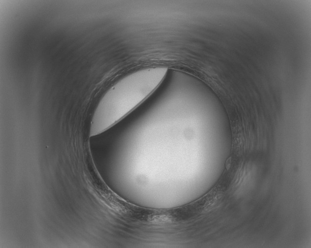 X0000052550262200507010853