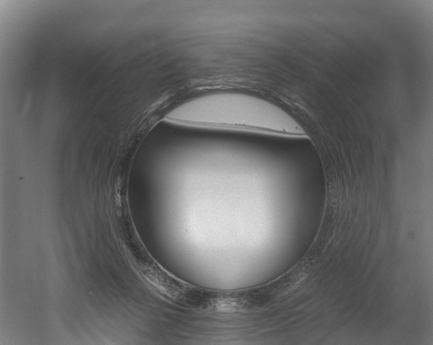 X0000052550264200507010853