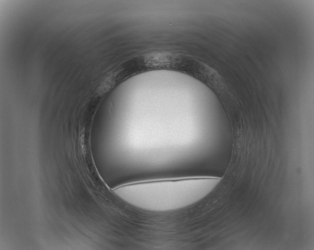 X0000052550267200507010853