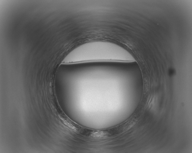 X0000052550269200507010853