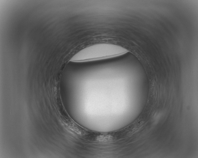 X0000052550271200507010853