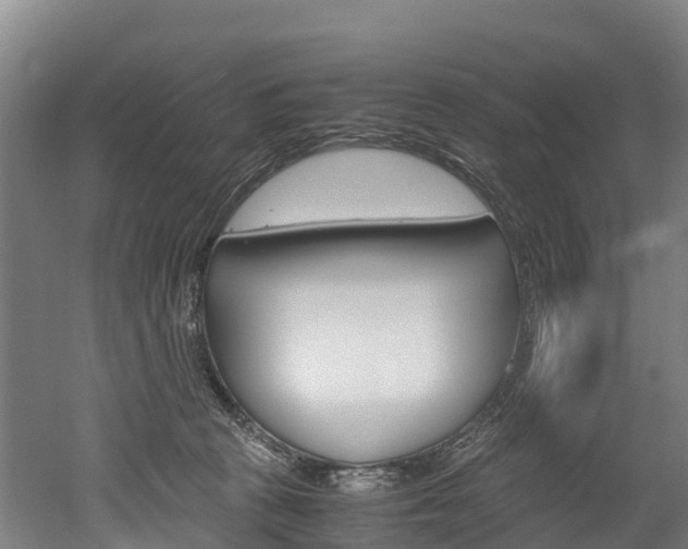 X0000052550273200507010853