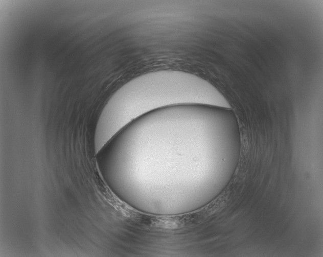 X0000052550276200507010853