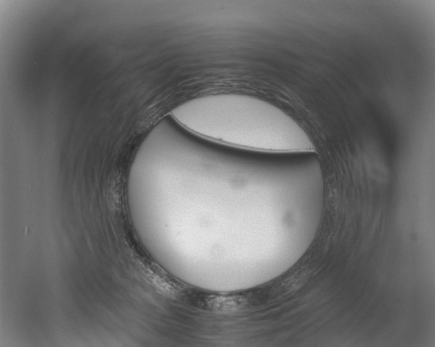 X0000052550277200507010853