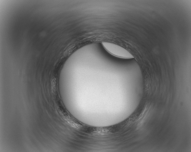 X0000052550278200507010853