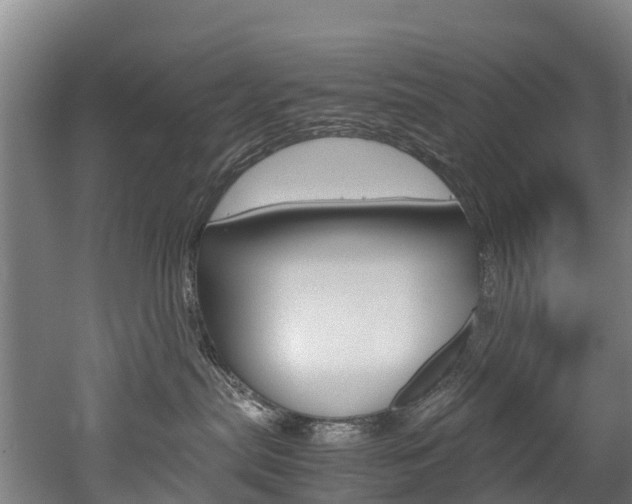 X0000052550287200507010853