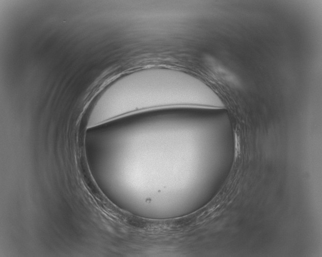 X0000052550291200507010852