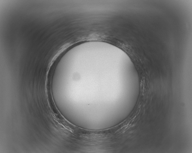 X0000052550292200507010852