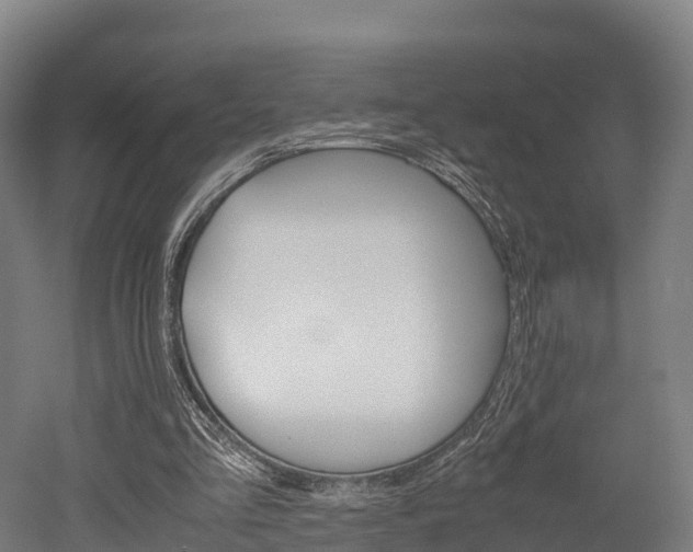 X0000052550293200507010852