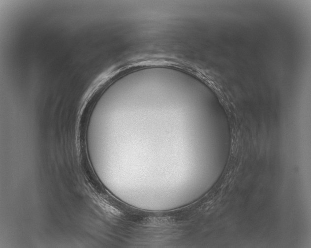 X0000052550296200507010852