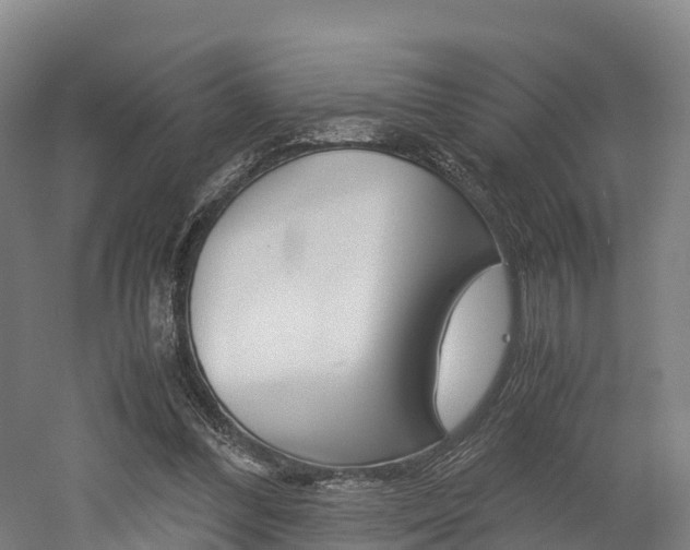 X0000052550300200507010852