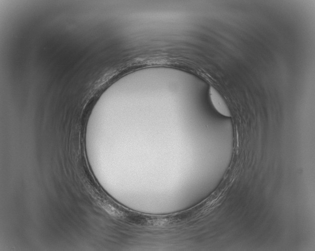 X0000052550301200507010852