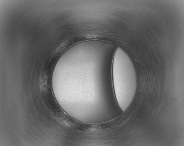 X0000052550308200507010852