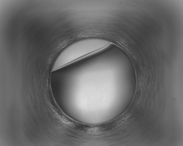 X0000052550309200507010852