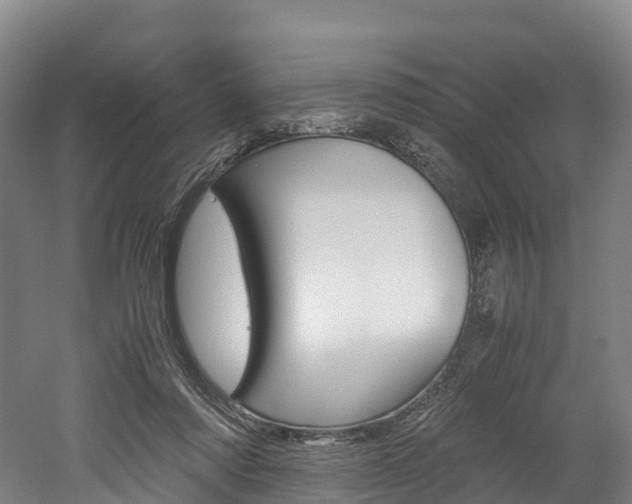 X0000052550310200507010852
