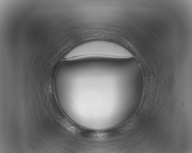 X0000052550313200507010852