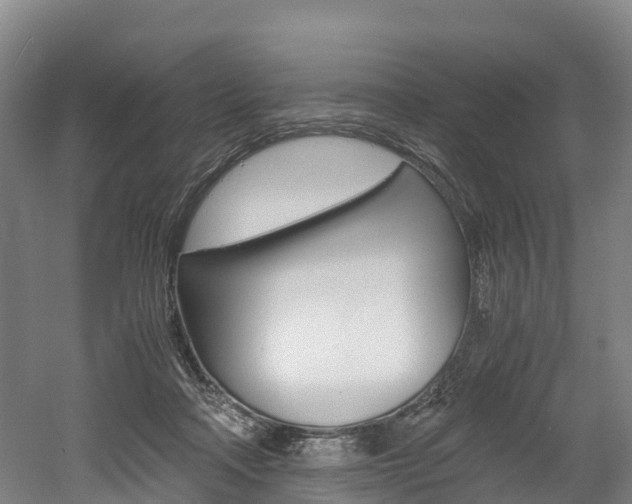 X0000052550314200507010852