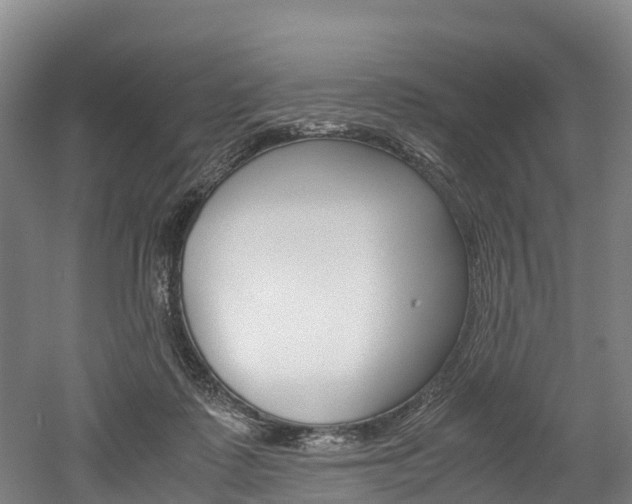 X0000052550315200507010852