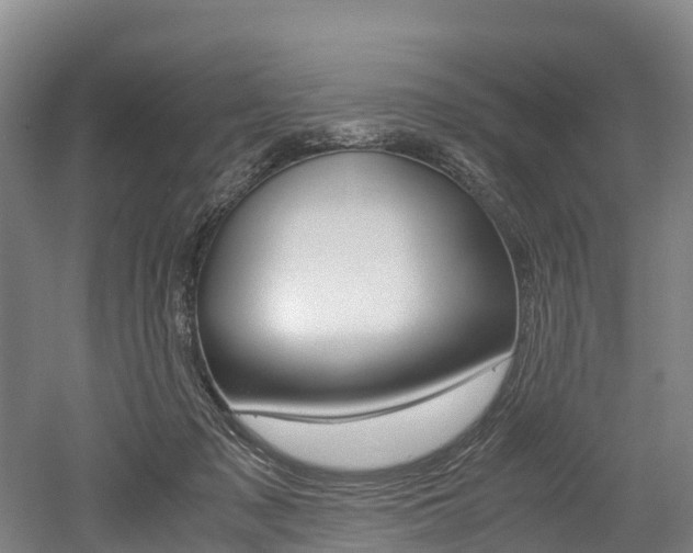 X0000052550317200507010852