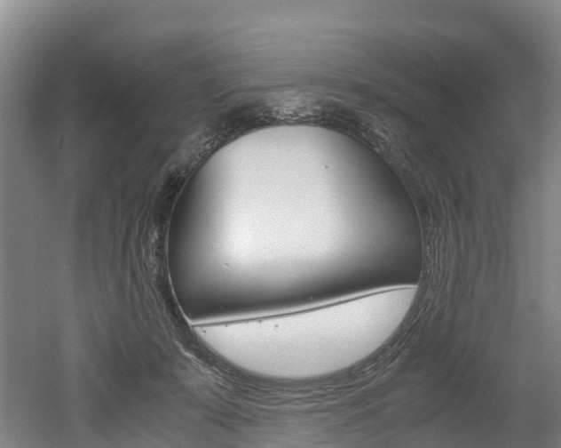 X0000052550319200507010852
