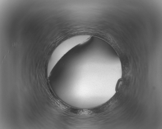 X0000052550321200507010852