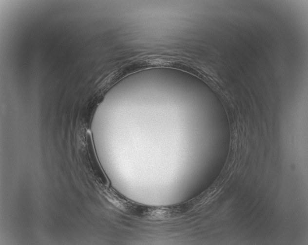 X0000052550325200507010852