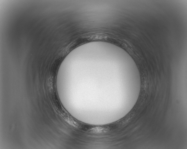 X0000052550326200507010852