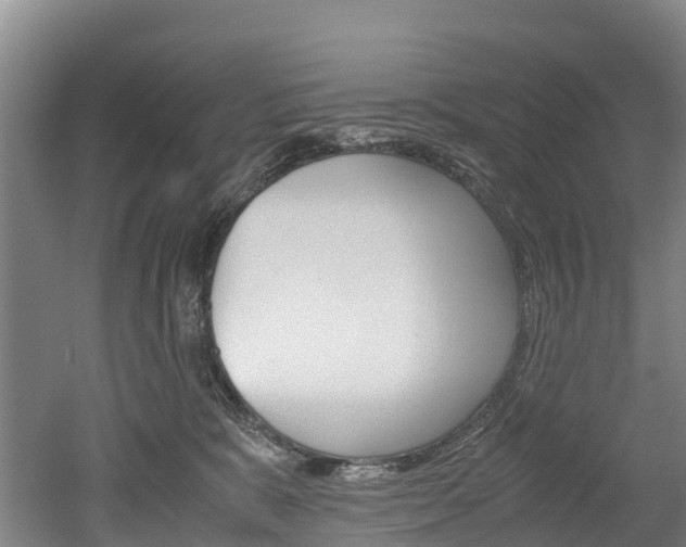 X0000052550327200507010852