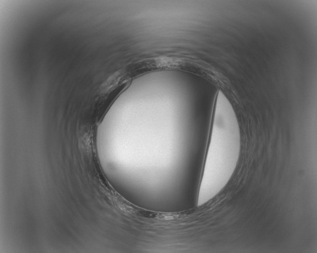 X0000052550329200507010851