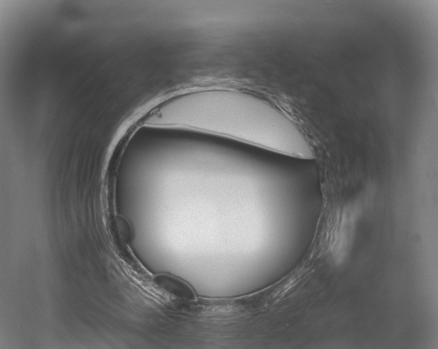 X0000052550342200507010851