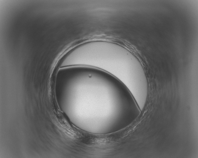 X0000052550344200507010851