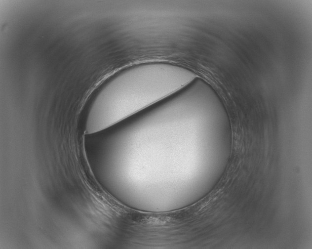 X0000052550346200507010851