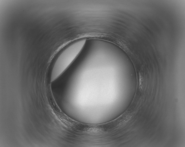 X0000052550348200507010851