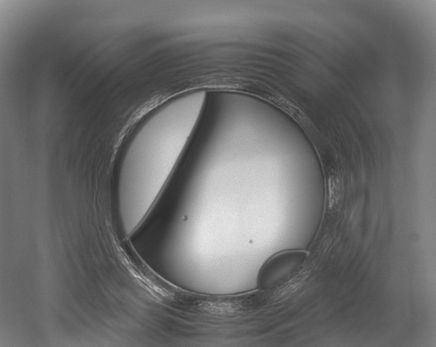X0000052550349200507010851