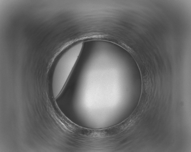 X0000052550350200507010851