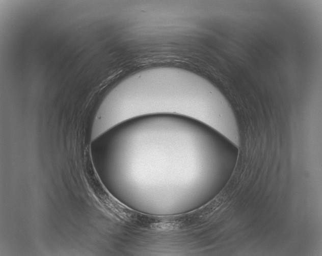 X0000052550356200507010851