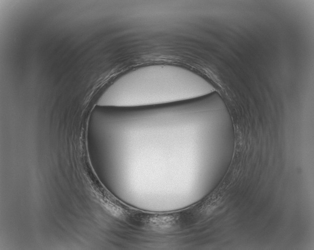 X0000052550357200507010851