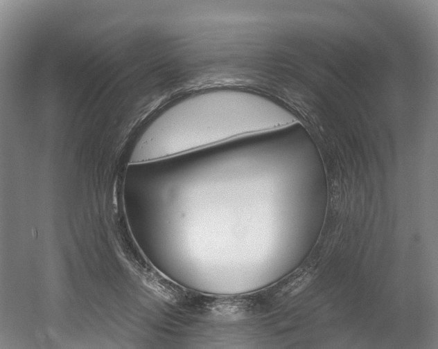 X0000052550358200507010851