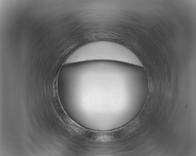 X0000052550360200507010851