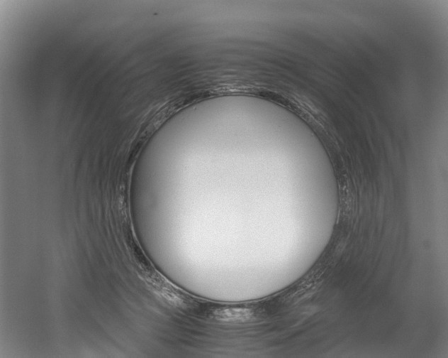 X0000052550361200507010851
