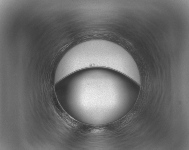 X0000052550364200507010851