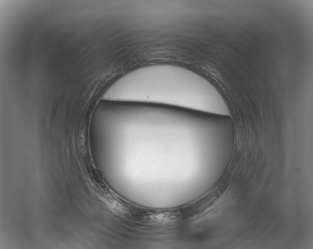 X0000052550365200507010851