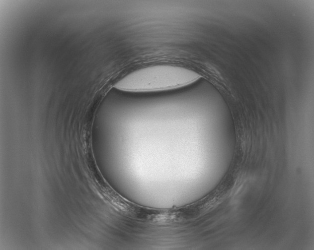 X0000052550366200507010851